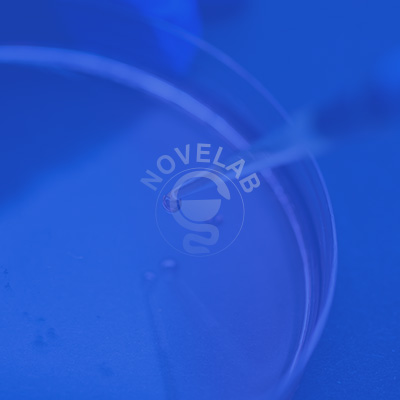 Novelab